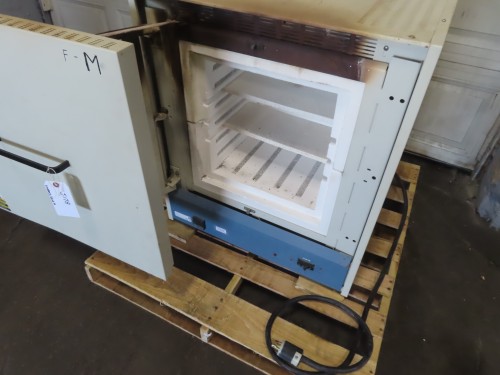 Lindberg / Blue M lab furnace